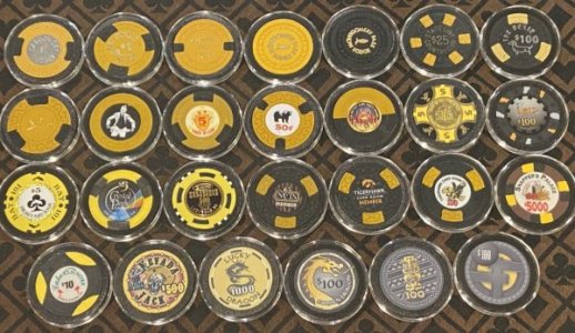 BUMBLEBEE CHIPS (black and yellow)