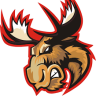 Nuhockey